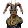 Wayne Anderson - Draxian 1:1 Scale Life Size Bust