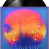 William Orbit - The Painter 2xLP Vinyl Record