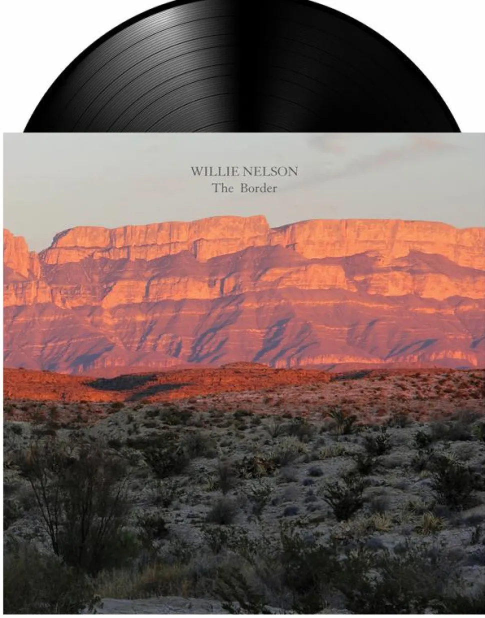 Willie Nelson - The Border LP Vinyl Record