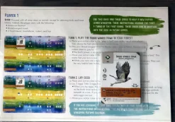 Wingspan - 2nd Edition Board Game