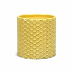 Winnie the Pooh - Honeycomb Plant Pot