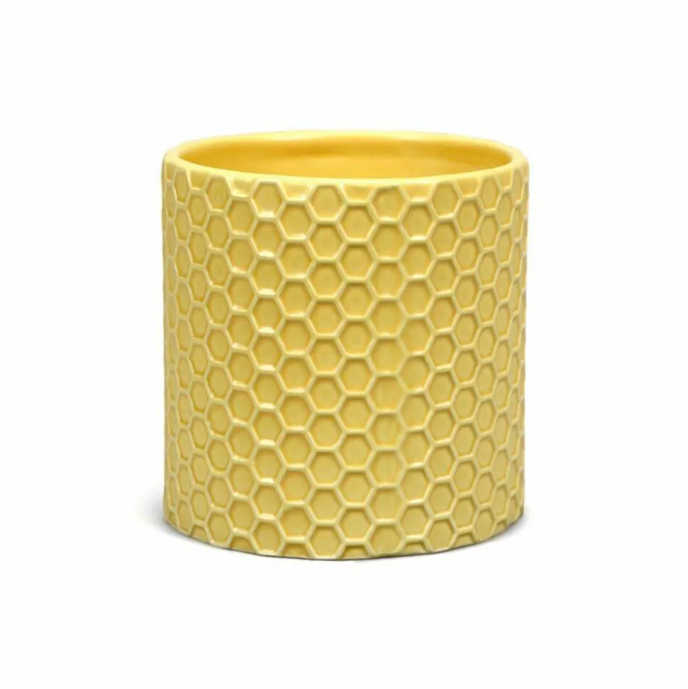 Winnie the Pooh - Honeycomb Plant Pot