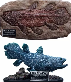 Wonders of the Wild - Coelacanth & Fossil Deluxe 7” Statue