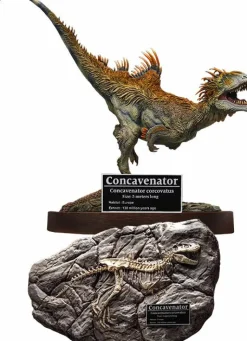 Wonders of the Wild - Concavenator & Fossil Deluxe 10” Statue