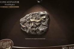 Wonders of the Wild - Concavenator & Fossil Deluxe 10” Statue