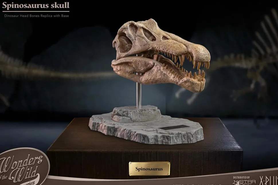Wonders of the Wild - Spinosaurus Skull 7” Statue