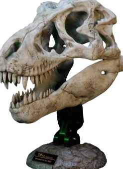 Wonders of the Wild - Tyrannosaurus Rex Skull Fossil 11" Scaled Replica Statue