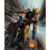 X-Men - Return of Wolverine Fine Art Print by Adi Granov
