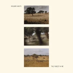 Xylouris White - The Forest In Me LP Vinyl Record