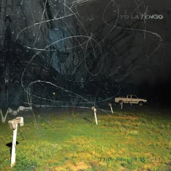 Yo La Tengo - This Stupid World LP Vinyl Record